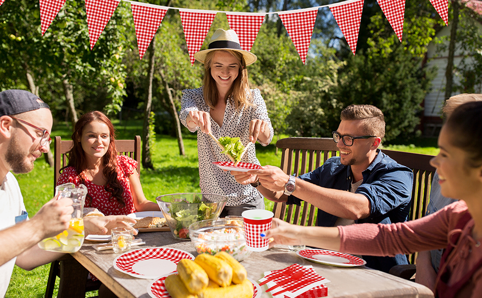 durony 146 Piece Red and White Plaid Gingham Party Supplies Tableware Set