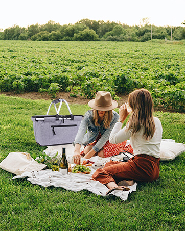 picnic basket