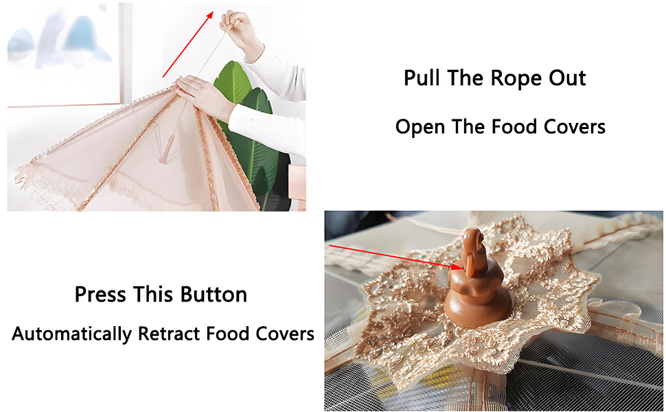 Introduction To The Usage Of Food Tents