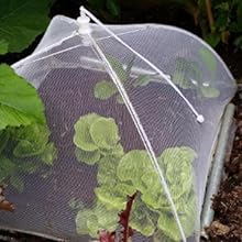 picnic food covers mesh
