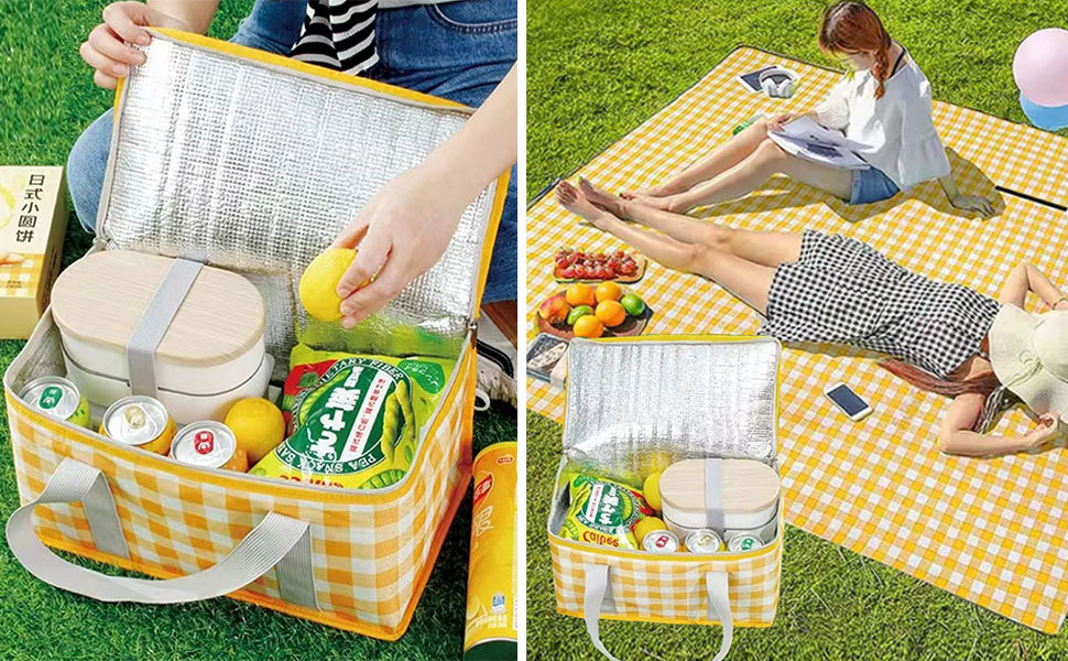 Insulated Reusable Food Picnic Bag