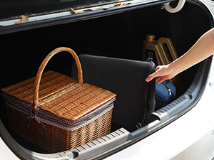 Lifewit.Cooler.Bag