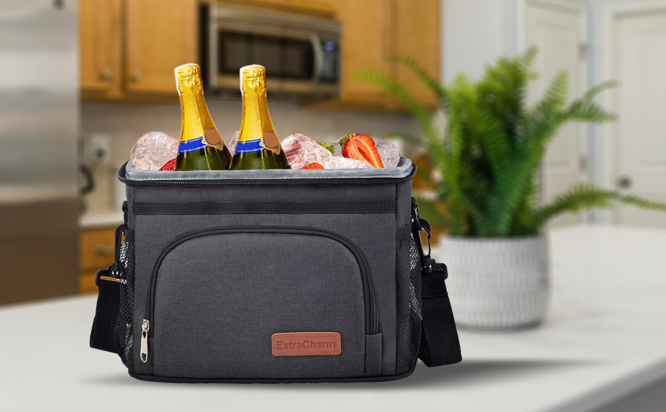 insulated lunch bag for men
