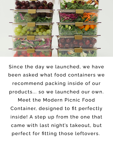 Modern Picnic Lunch Bags