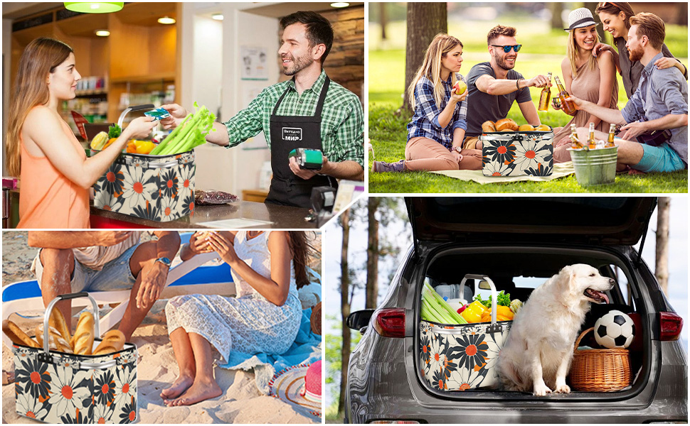 Collapsible Picnic Basket with Handle
