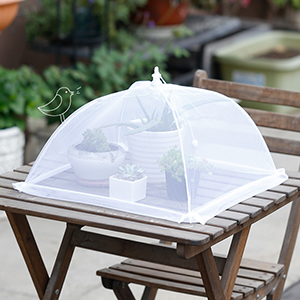 Food Covers Tent
