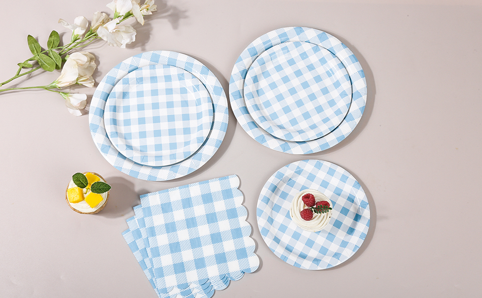 Blue Gingham Paper Plates and Napkins