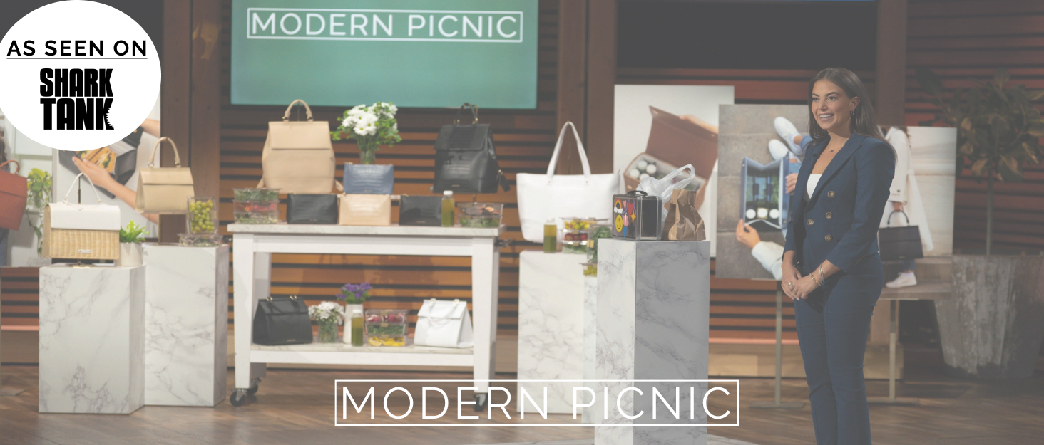 Mordern Picnic luncher