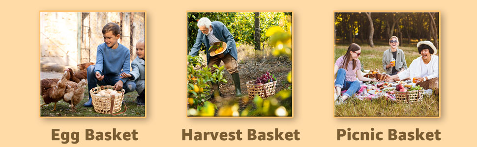 Picnic Basket