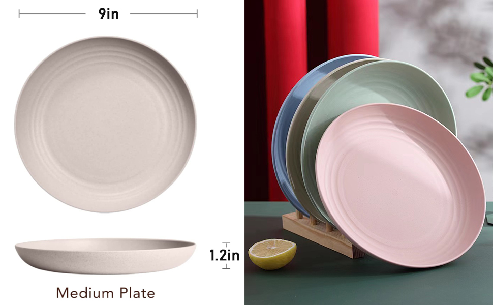 Reusable Large Plates Set of 4