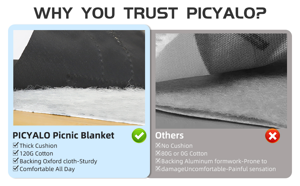 cotton picnic blanket thick