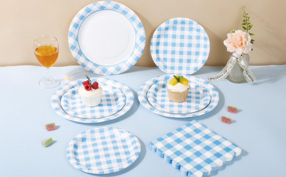 Blue Gingham Paper Plates and Napkins