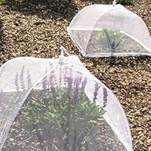 Food Covers Tent