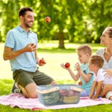 picnic basket