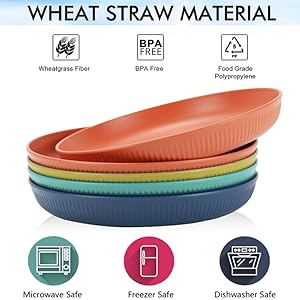 Lightweight Wheat Straw Plates 9 Inch