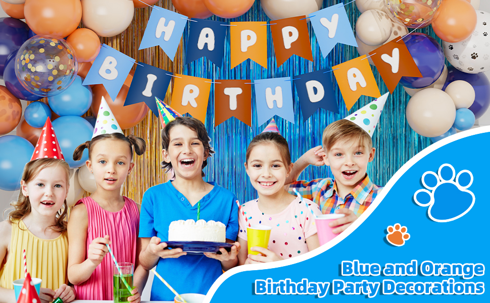 Blue and OrangeBirthday Party Decorations